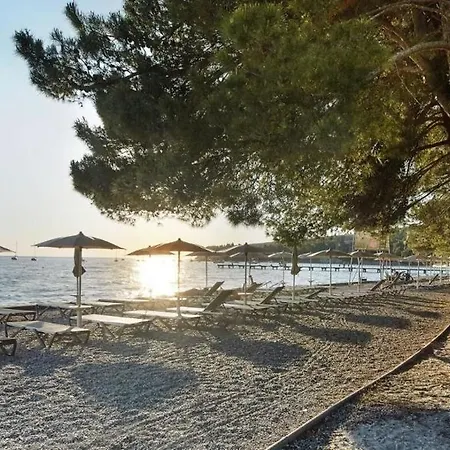 컨벤트 - 호텔&리조트 아드리아 호텔